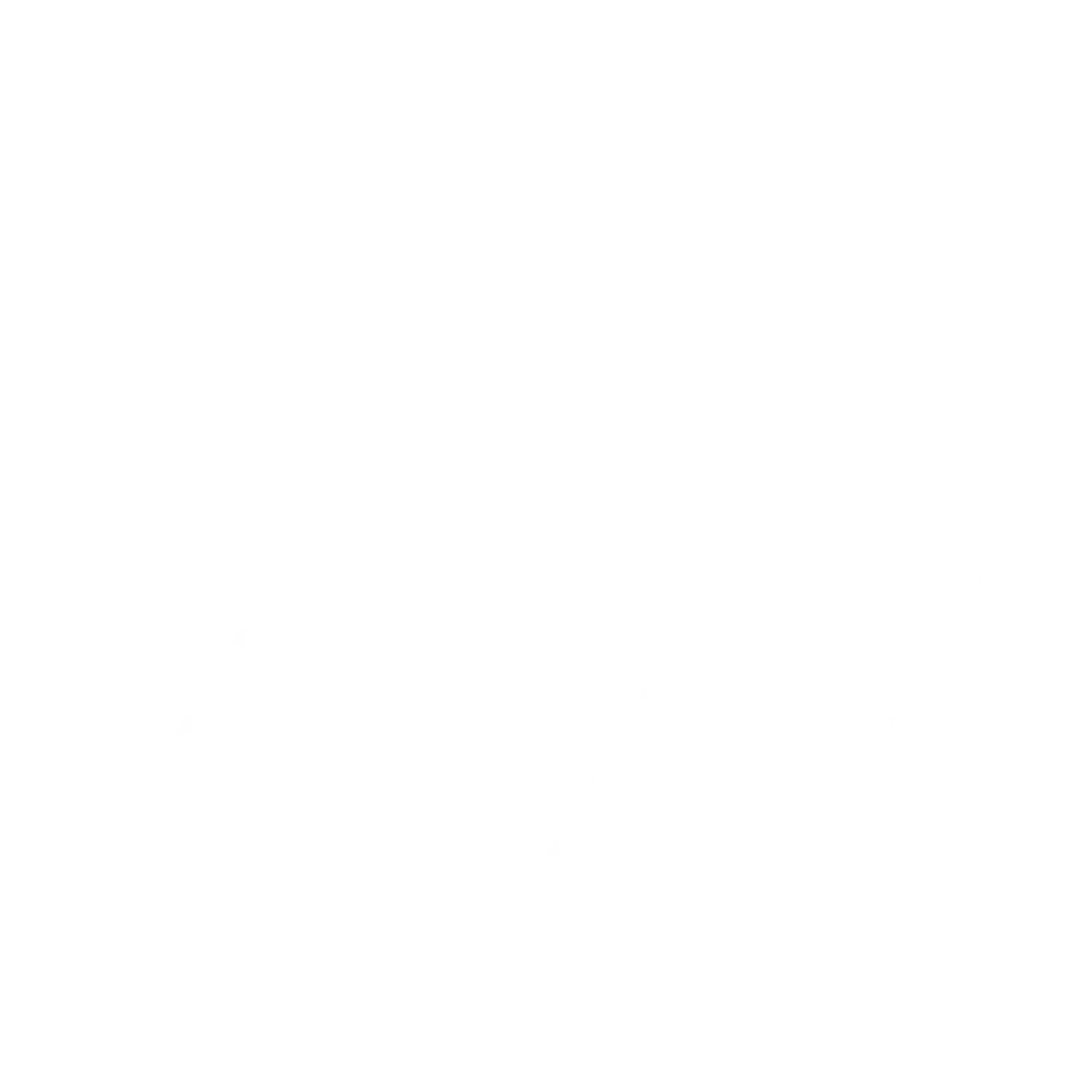 Bitvavo Logo